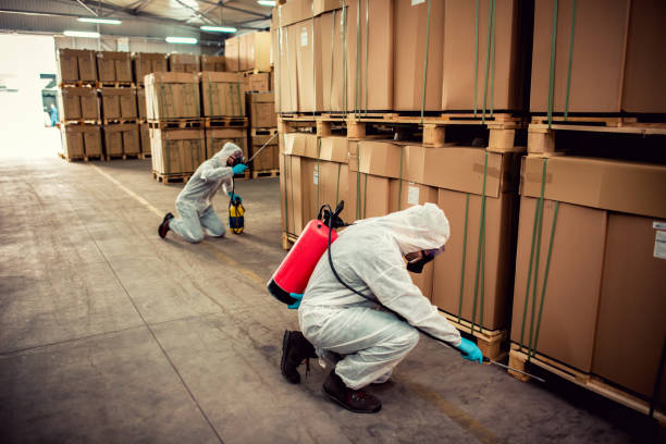 Best Affordable Pest Control Services  in Stone Park, IL