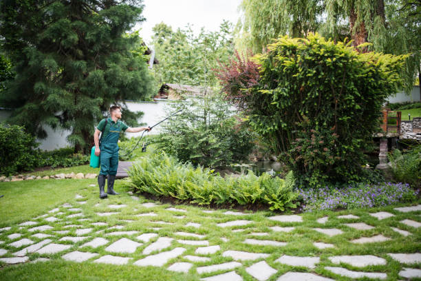Best Pest Control Near Me  in Stone Park, IL
