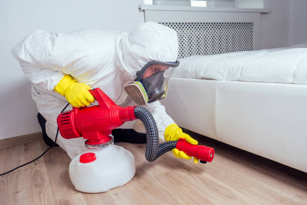 Best Wasp Removal Services  in Stone Park, IL