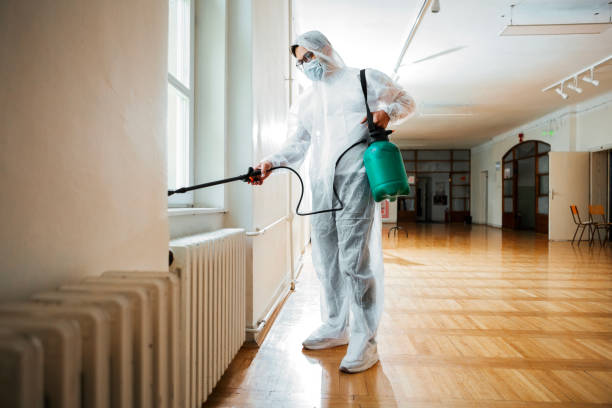 Best Flea Control Services  in Stone Park, IL